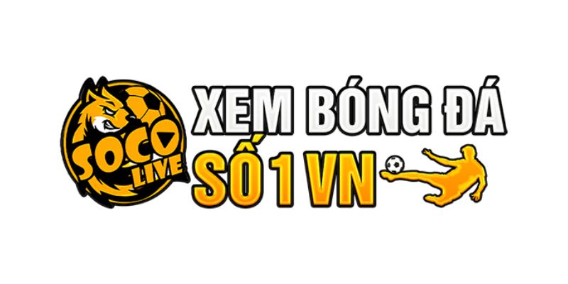 Tổng quan nhà cái socolive