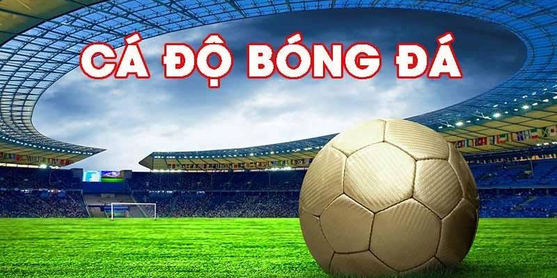 Giao dịch trang cá độ bóng đá uy tín
