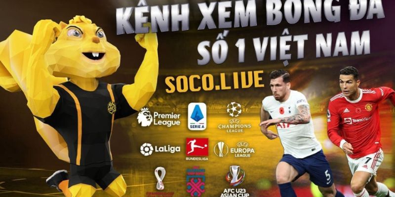 Nên chọn trực tiếp bóng đá socolive
