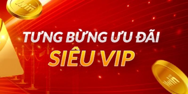 VIP socolive trải nghiệm