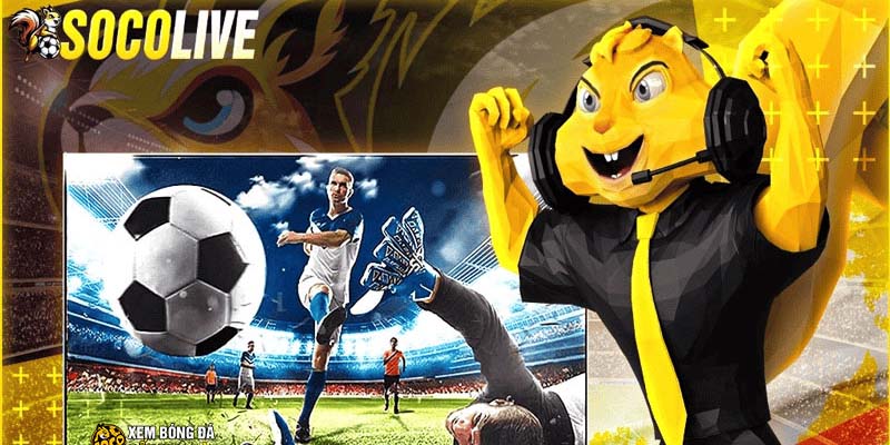 Bảng kèo Malaysia Socolive hiển thị tỷ lệ âm – dương rõ ràng, hỗ trợ người chơi soi kèo trực tiếp dễ dàng.